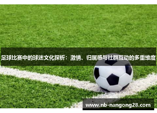 足球比赛中的球迷文化探析：激情、归属感与社群互动的多重维度