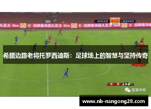 希腊边路老将托罗西迪斯：足球场上的智慧与坚持传奇