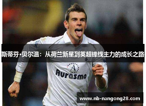 斯蒂芬·贝尔温：从荷兰新星到英超锋线主力的成长之路