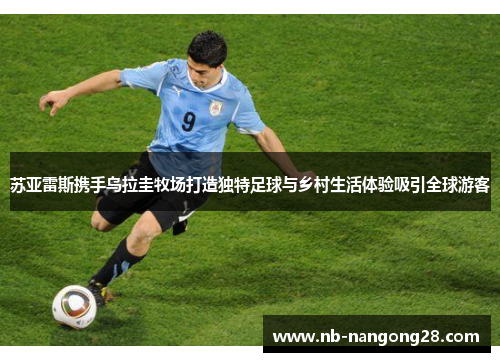 苏亚雷斯携手乌拉圭牧场打造独特足球与乡村生活体验吸引全球游客