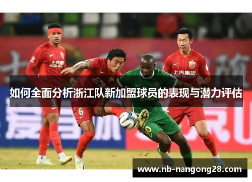 如何全面分析浙江队新加盟球员的表现与潜力评估