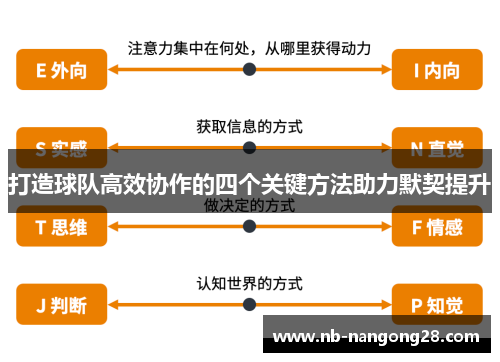 打造球队高效协作的四个关键方法助力默契提升