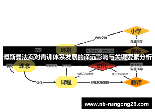 博斯曼法案对青训体系发展的深远影响与关键要素分析