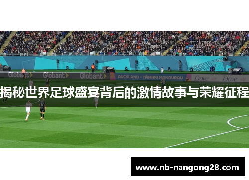 揭秘世界足球盛宴背后的激情故事与荣耀征程
