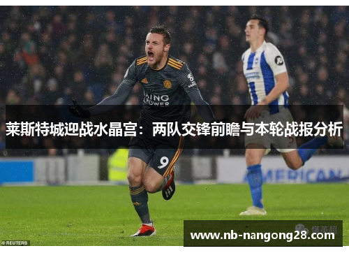 莱斯特城迎战水晶宫:两队交锋前瞻与本轮战报分析